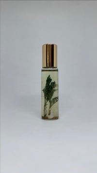 Image 1 of Paradise Plump lip & body oil roll-on                                                        