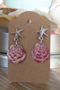 Image 3 of Silver Starfish Scallop Earrings 
