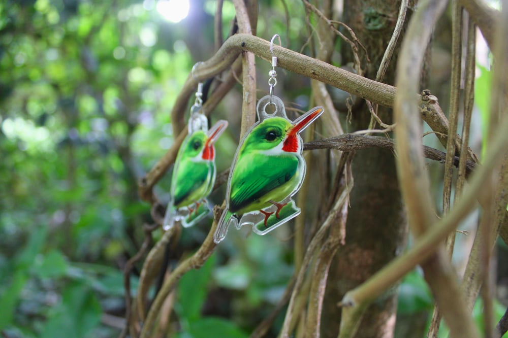 San Pedrito Earrings | Puerto Rican Tody