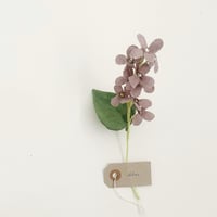 Image 4 of cocon flower 2