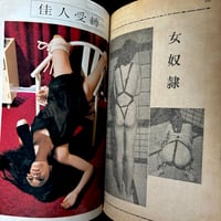 Image 23 of SM FANTASIA #4