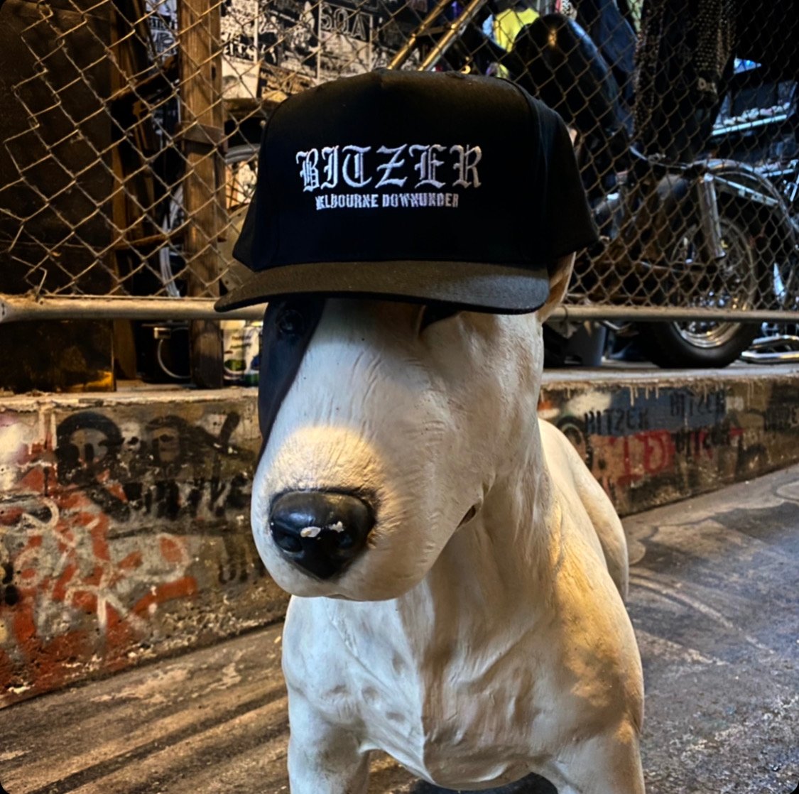 Image of BITZER  LOGO 5 Panel cotton cap 
