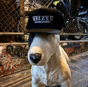 Image of BITZER  LOGO 5 Panel cotton cap 
