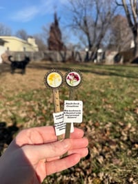 Image 1 of Bronze Bookmarks