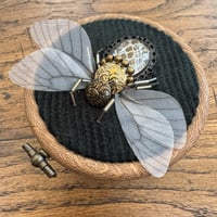 Image 3 of Snake skin bee (a,  3 inches)