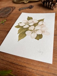 Image 2 of Plum Blossom Original Painting.