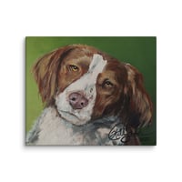 Image 3 of Brittney Spaniel