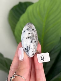 Image 14 of DENDRITIC OPAL SHIVAS