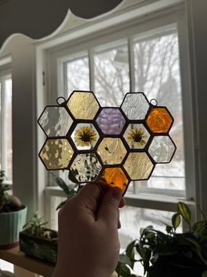 Honeycomb with Calendula