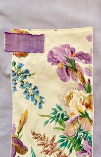 Image 3 of OdC 41- iris
