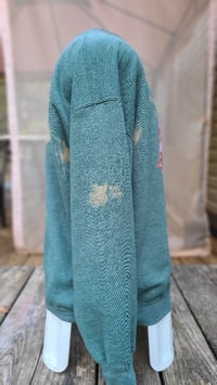 Image 2 of Disappoinsettia