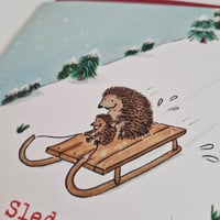 Image 3 of Sledgehogs