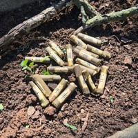 Image 2 of Celtic Ogham Oracle Set