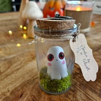 Image 1 of Mr Ghost en fiole yeux oranges 
