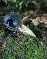 Image 1 of Crow skull necklace