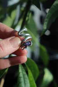 Image 2 of Snakey Vibes 