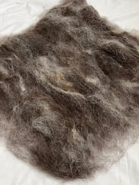 Image 1 of Neutrals Batt #1