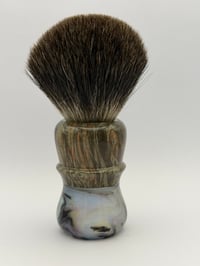 Image 4 of Abalone Hybrid