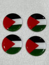 Palestine magnets
