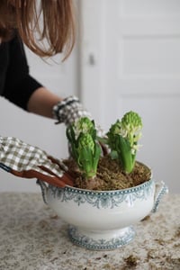 Image 2 of Gants de jardinage