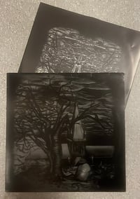 Image 2 of LP Selvhat «Mellom Moerket Falmende» 2009