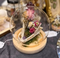 Image 5 of Mammal Jaw Bone Glass Cloche 