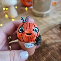 Image 3 of Mme Pumpkin Huguette