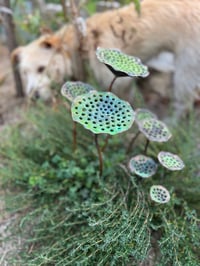 Image 5 of 🌺💐🌷Lotus Pod Garden Stake