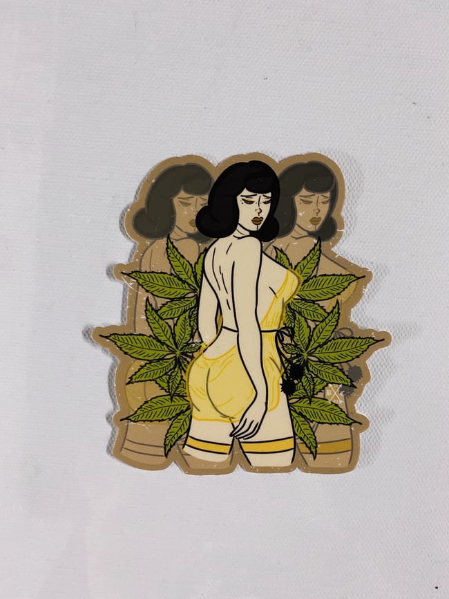 𝙱𝚊𝚋𝚢 𝙱𝚎𝚎 | 𝗕𝘂𝗺𝗽𝗲𝗿 𝗦𝘁𝗶𝗰𝗸𝗲𝗿