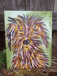 Image 3 of Scruffy Dog 