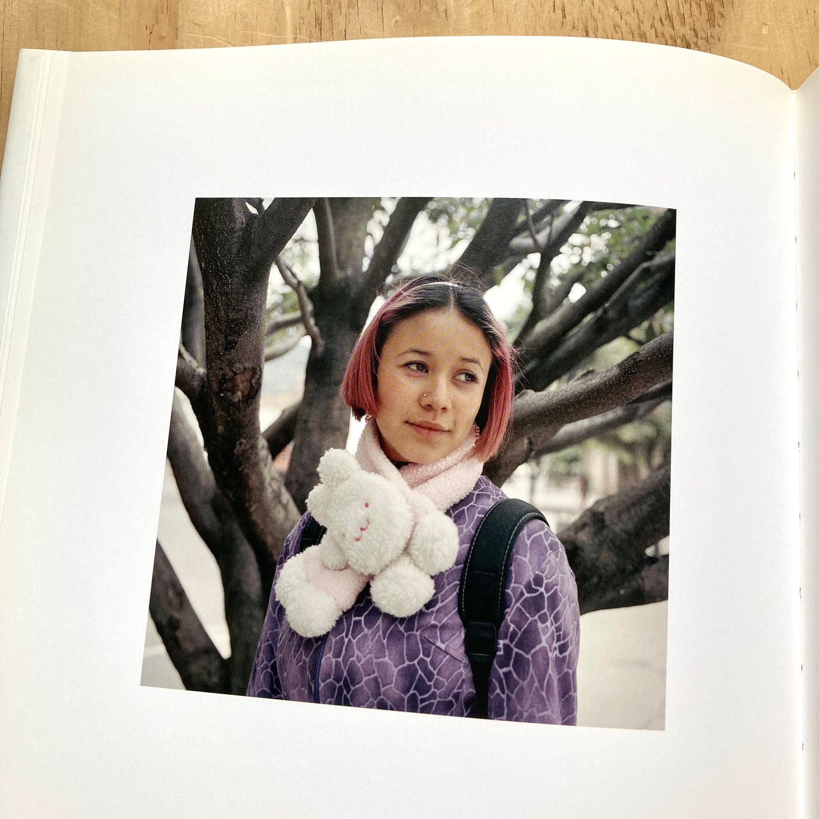 Alec Soth - Dog Days Bogotá | Photobook Junkies