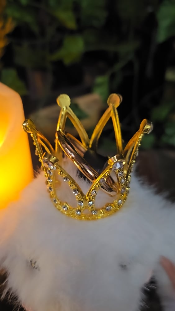 👑The Armored Kingdom Crowned Snowflake White Snugglehop Bunny Keychain