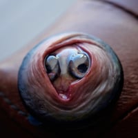 Image 12 of Custom Swappable Phone Grip for smartphones, double iris, reflective pupil, glow in the dark