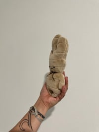 Image 3 of Ginger Baby