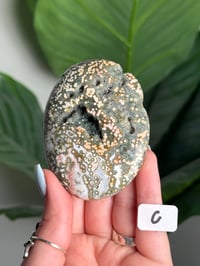 Image 3 of XL CHOOSE YOUR OWN ORBICULAR VEINLESS OCEAN JASPER PALM STONES -MADAGASCAR- 