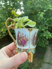 Image 3 of Baby Sun Rose in Victorian Cup