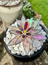 Image 2 of Iridescent Pink Succulent 