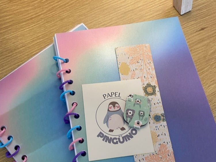 Image of Dos Libretas arcoíris 