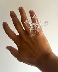 Image 1 of BUTTERFLOWER