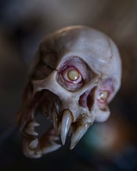 Image 17 of Vampire fetal skull, original art, dark academia