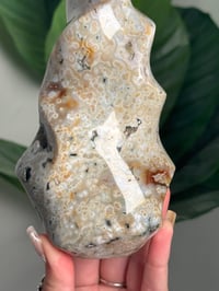 Image 3 of ORBICULAR SEA JASPER FLAME -MADAGASCAR-
