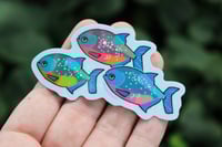 Image 3 of Piranha Holo 3” Sticker
