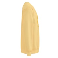 Image 10 of Unisex EVOLVED SOUL garment-dyed sweatshirt