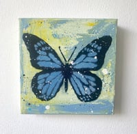 1/1 BUTTERFLY CANVAS
