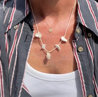Image 3 of Shell Necklace 