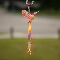 Image 6 of Jalisco Hummingbird 