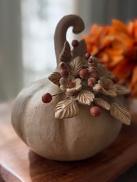 Image 4 of Calabaza Otoño LG 