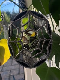 Image 2 of Caught In The Web