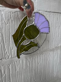 Image 1 of Thistle for Mary
