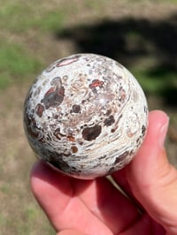 Image 7 of Money Agate Sphere #2834